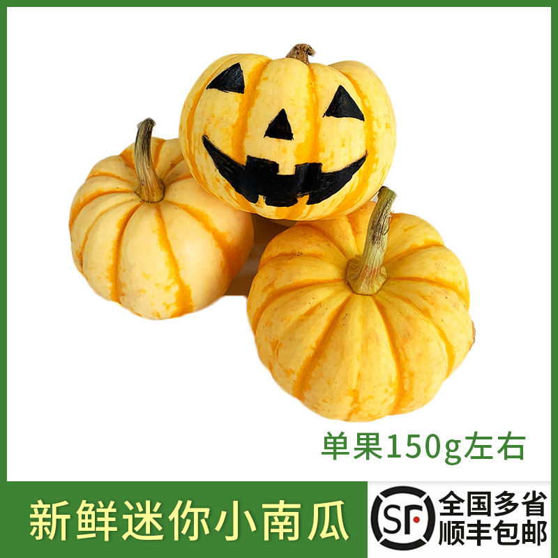 小金瓜桔瓜万圣节南瓜灯雕刻材料