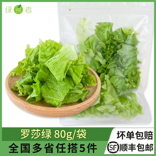 袋新鲜绿叶花边叶生菜半成品西餐蔬菜沙拉食材 罗莎绿80g