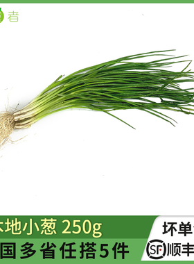 本地小葱250g 香葱新鲜蔬菜时鲜蔬菜江浙沪皖5件包邮