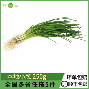 包邮 本地小葱250g 香葱新鲜蔬菜时鲜蔬菜江浙沪皖5件