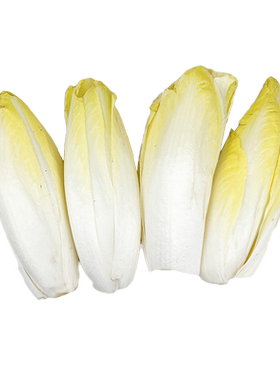 新鲜金玉兰菜西餐蔬菜沙拉食材