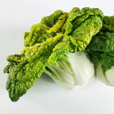 新鲜黄心塌菜1斤 农家自种黄心菜时令蔬菜卷心窝窝白菜