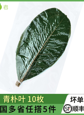 新鲜青朴叶10枚 日料寿司刺身海鲜绿色朴叶烧烤铁板摆盘装饰材料