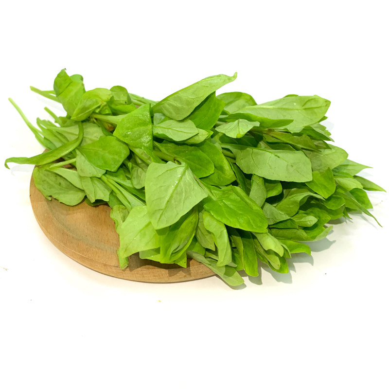 新鲜枸杞头500g 新鲜蔬菜当季春菜时令枸杞芽蔬菜枸杞菜 5件包邮,水产肉类/新鲜蔬果/熟食,叶菜类,淘宝优惠券,粉丝福利购,淘宝优惠卷