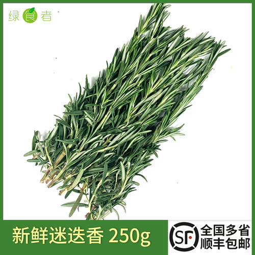 新鲜迷迭香烧烤烘焙煎牛排香料