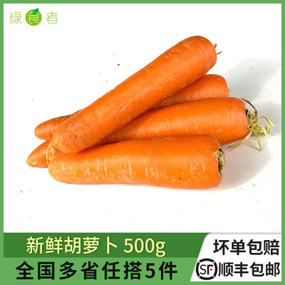 新鲜大胡萝卜500g生吃炒菜蔬菜