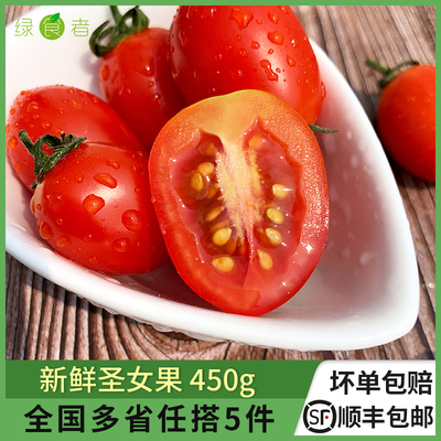 圣女果小番茄西红柿新鲜蔬菜