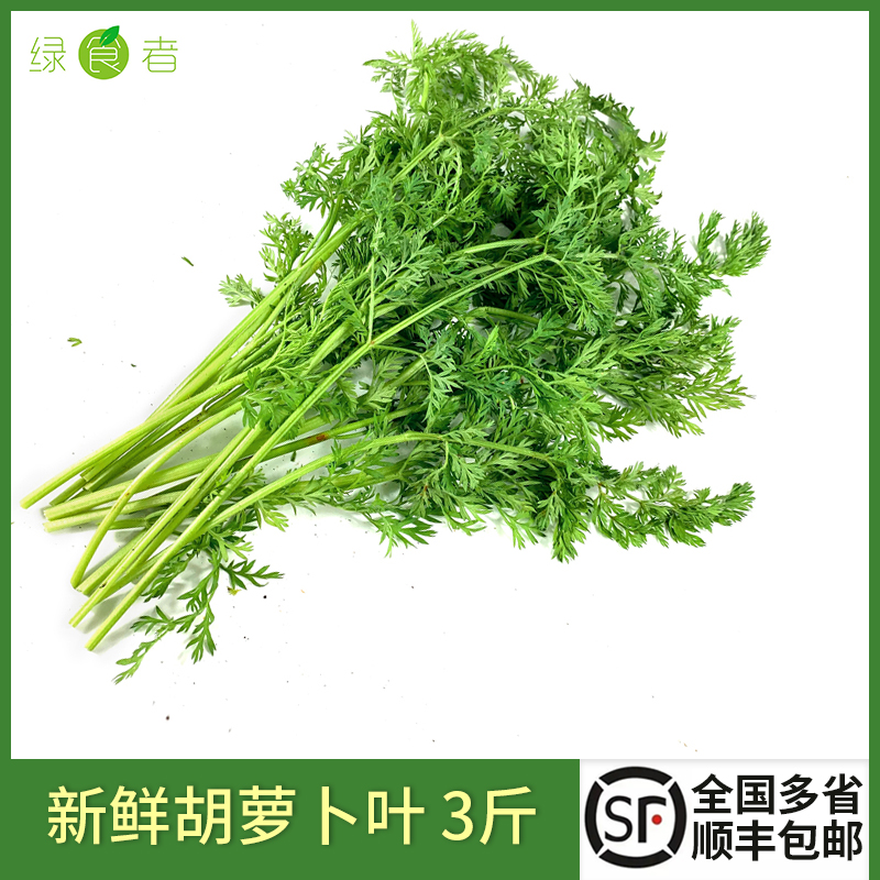 新鲜胡萝卜叶子3斤蔬菜