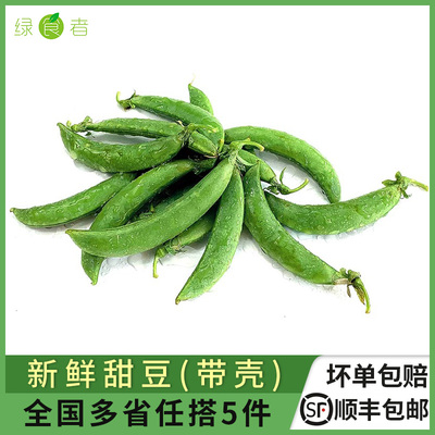 新鲜甜豆500g 带壳炒菜食用甜脆鲜豌豆荚新鲜蔬菜 任搭5件包邮