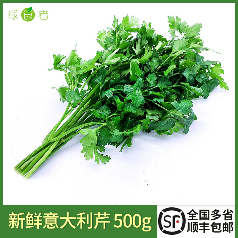 绿食者 新鲜意大利芹500g 欧芹香芹法国香菜巴西里香西餐食材包邮