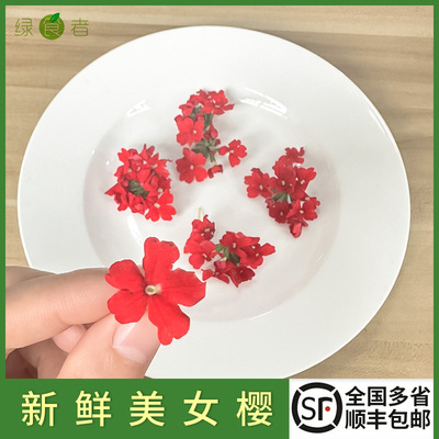 新鲜美女樱约5g/1盒 餐厅酒店摆盘装饰日料冷艺摆设食材 顺丰包邮