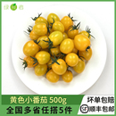 夏日阳光圣女果小西红柿新鲜水果蔬菜沙拉食材 黄色小番茄500g