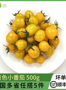 黄色小番茄500g 夏日阳光圣女果小西红柿新鲜水果蔬菜沙拉食材