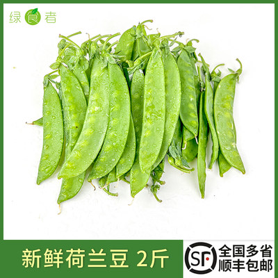 荷兰豆2斤新鲜时令蔬菜