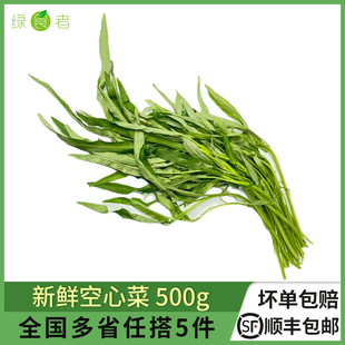 新鲜空心菜500g竹叶空心菜农家藤藤菜蕹菜蓊菜通心菜无心菜空筒菜
