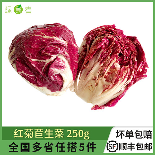 新鲜红菊苣西餐沙拉生吃蔬菜