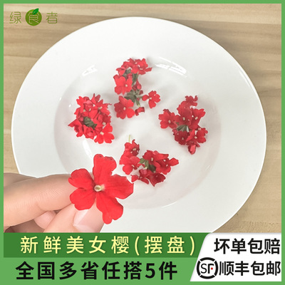 新鲜美女樱约5g/1盒 餐厅酒店摆盘装饰日料冷艺摆设食材 5件包邮