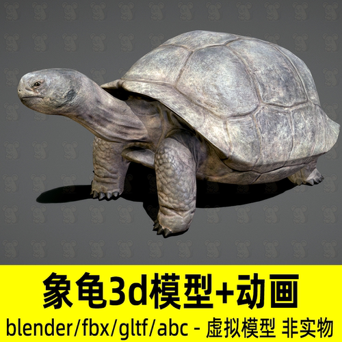 blender乌龟模型写实动物象龟陆地龟动物3d模型骨骼动画2K贴图fbx