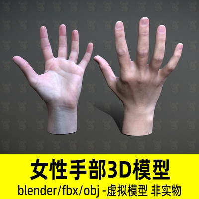 blender女性手部模型写实人物手掌手指3d模型4K贴图fbx素材obj