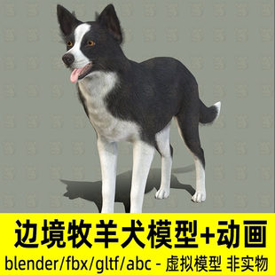 blender边境牧羊犬模型写实动物猎狗宠物狗骨骼材质3d模型动画fbx