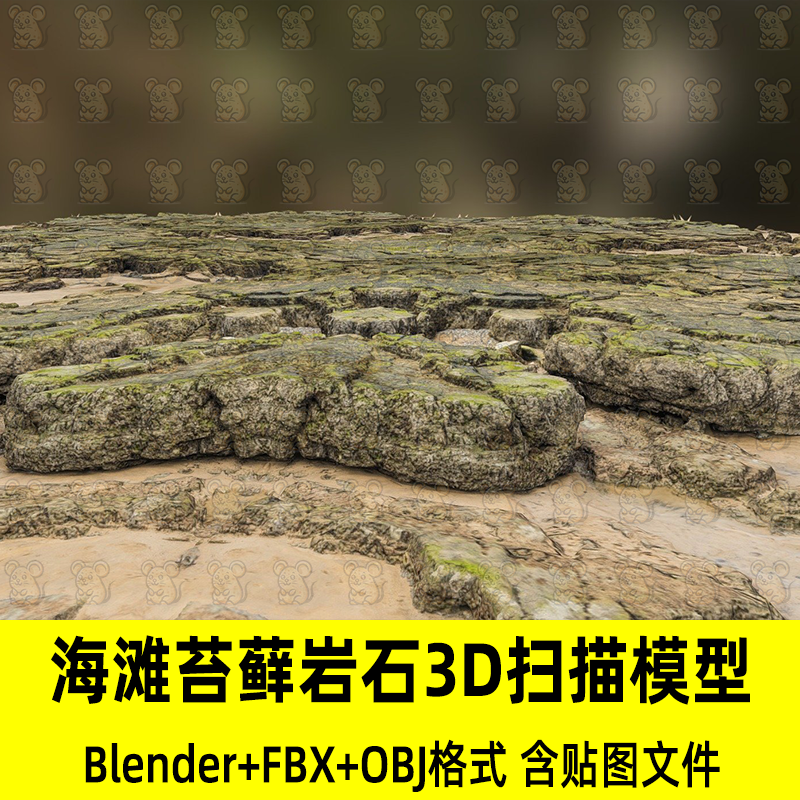 c4d blender写实海滩沙地苔藓岩石3D扫描模型fbx建模obj素材3dmax