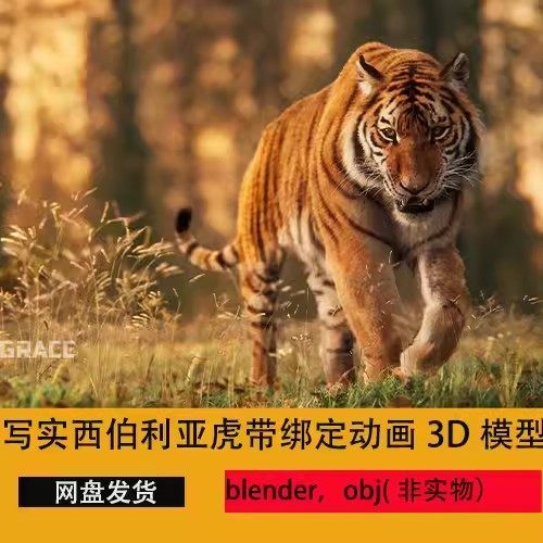 blender西伯利亚虎老虎3d模型带绑定动画动物cg模型毛发影视级