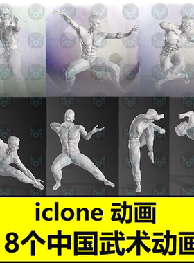 iclone中国武术动画 醉拳 太极拳 八极拳 击拳 阻挡 推手传统动作