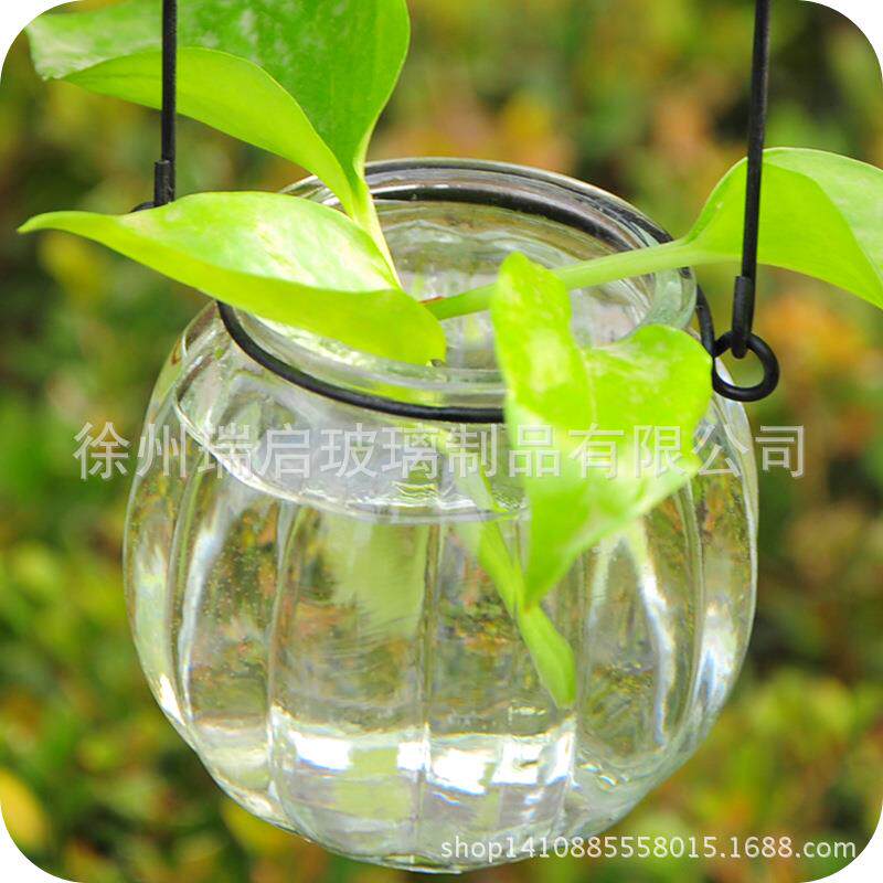 新款直销现货供应水培植物花瓶 小吊瓶插花玻璃瓶配送铁环南瓜玻