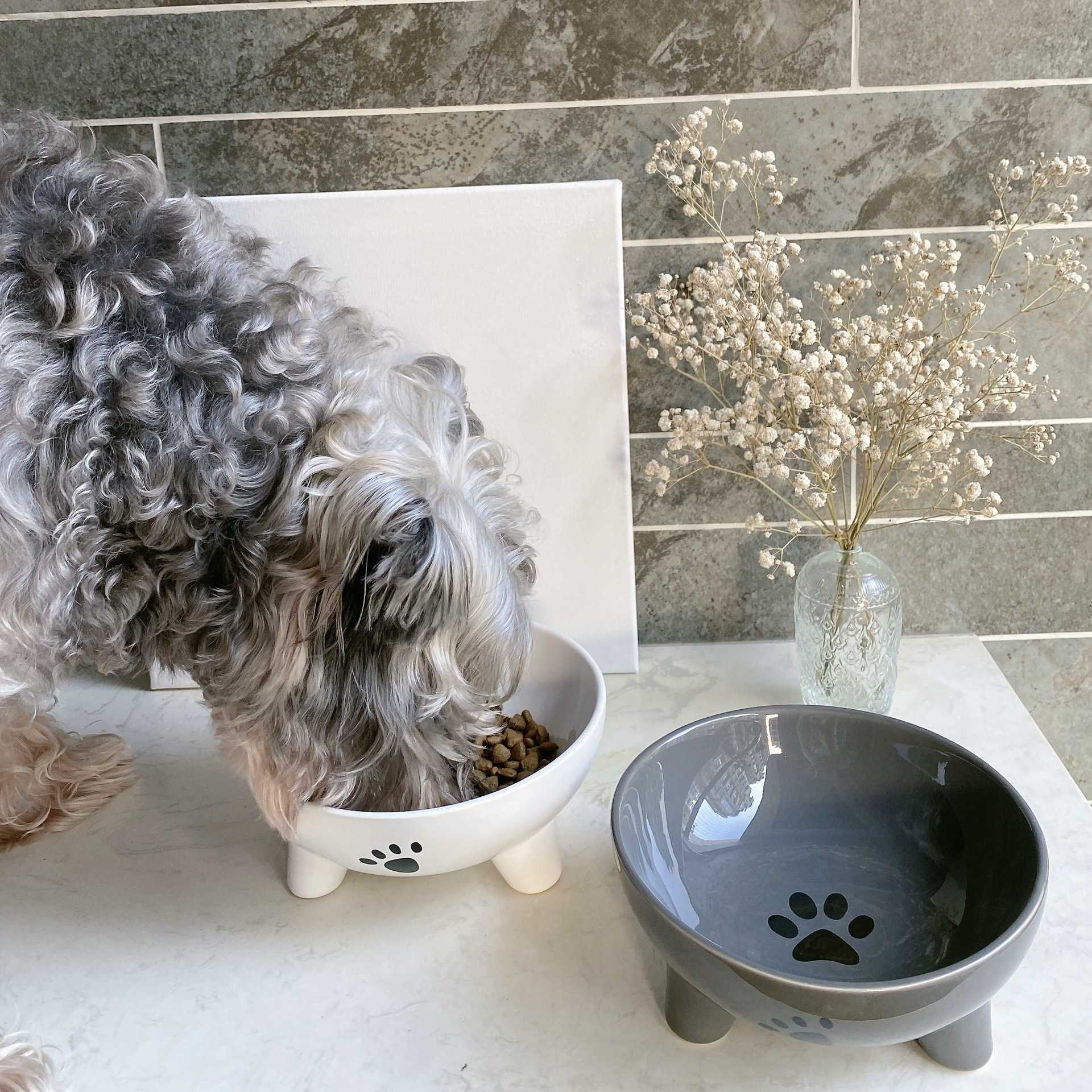 新款直销陶瓷猫碗狗盆大口径防打翻狗碗宠物喝水碗猫咪饭碗宠物用