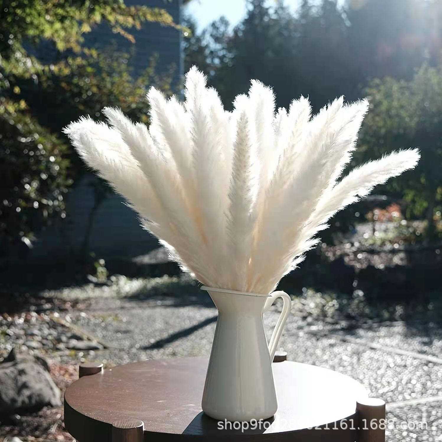 新款直销芦苇套装干花花束北欧风装饰摆件插花客厅装饰摆件干花束