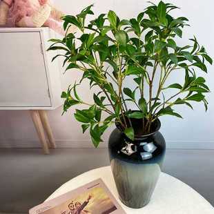 新款直销仿真马醉木假叶子吊钟叶样板间装饰摆件新中式网红叶材8