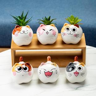 直销可爱猫多肉花盆桃蛋简约绿植装 新款 修带托盘家用简约卡通桌面