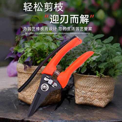 新款直销源头不锈钢发黑修枝剪刀园艺树枝剪园林摘果神器花艺剪
