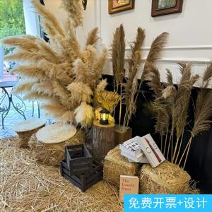 干花芦苇蒲苇草垛秋季美拉德氛围落地摆件庭院咖啡馆秋日造景道具
