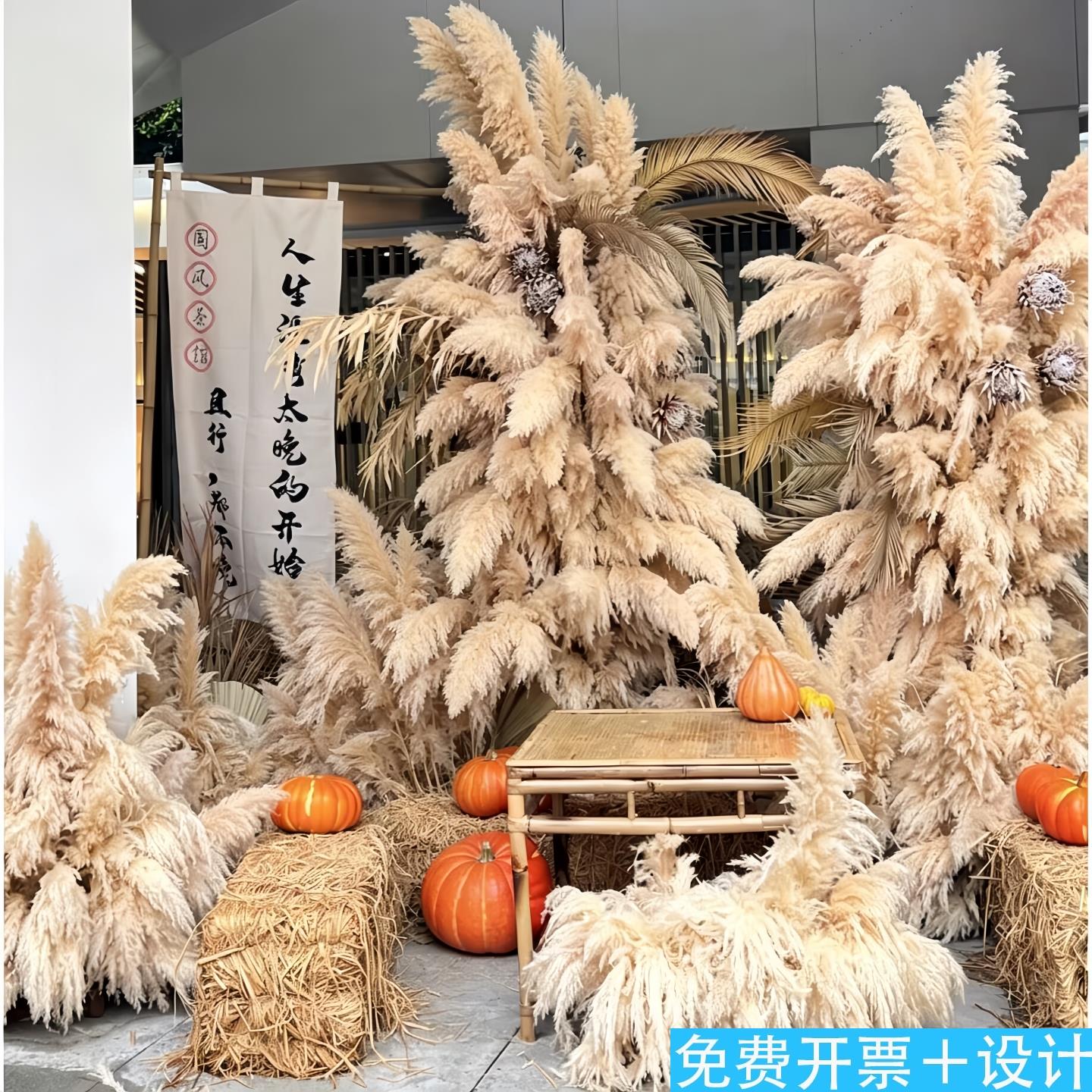 秋季芦苇干花超大束商场橱