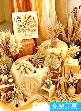秋收干花组合装饰蒲苇芦苇麦穗幼儿园自然角美拉德风环境布置道具