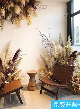 天然芦苇花秋日氛围感造景自然风布置店铺高级感秋季场景打卡摆件