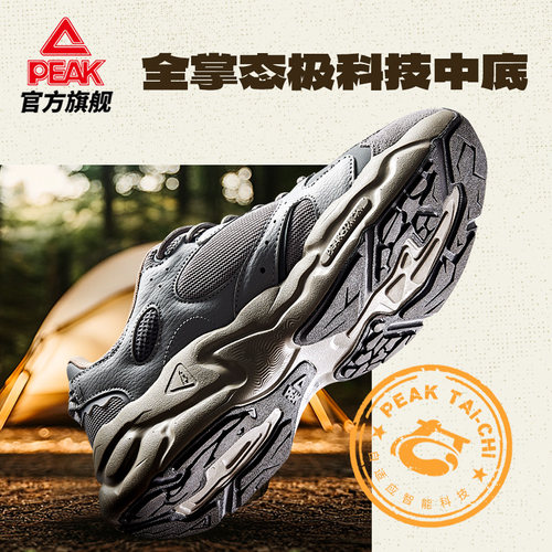 匹克态极川行男鞋运动鞋