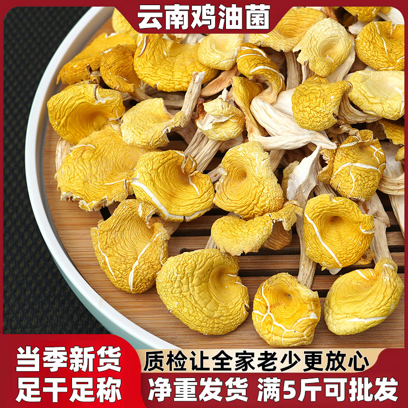 鸡油菌干货云南特产黄丝菌黄金菇榆黄菇菌菇煲汤料鸡枞菌干菌子