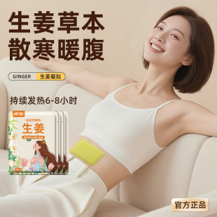 暖宝宝暖贴痛经女生用大姨妈暖宫贴艾草益母草寒宫暖身发热保暖贴