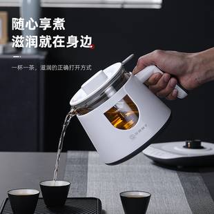 安华黑茶煮茶器养生壶全自动家用蒸汽小型办公多功能玻璃电煮茶壶