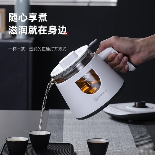 蒸汽煮茶器智能触控多功能花茶壶