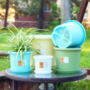 加仑盆 加厚树脂塑料花盆多肉种子种球土矮胖透气盆栽阳台 泥炭土