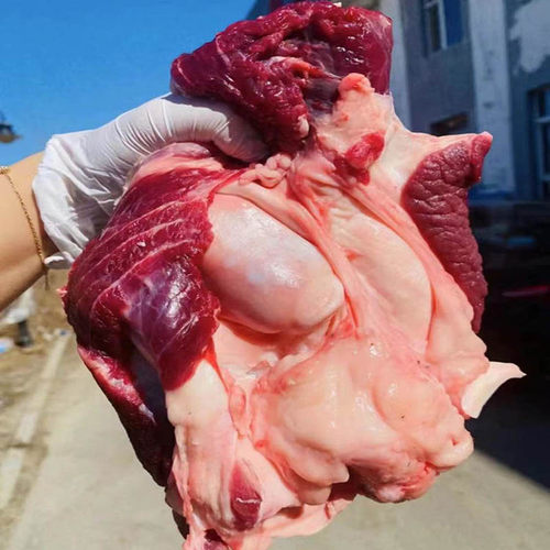 8斤装多肉多筋大个牛窝骨