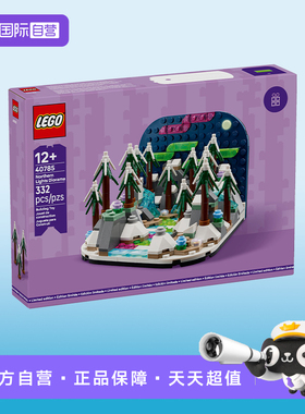 【自营】LEGO乐高40785北极光立体模型创意拼装积木玩具礼物