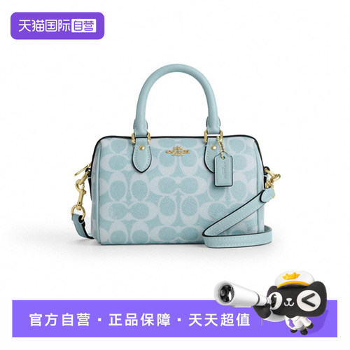 经典老花手提包小号女款浅蓝色CEY63IMXUM
