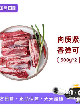 【自营】Mr.Meat原切草饲牛肋条500g*2牛腩升级款牛肉生鲜肉管家