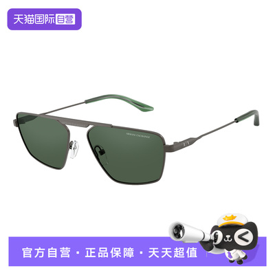 Armani/阿玛尼简约高级太阳眼镜