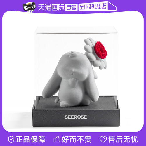 SEEROSE永生花创意生日礼物