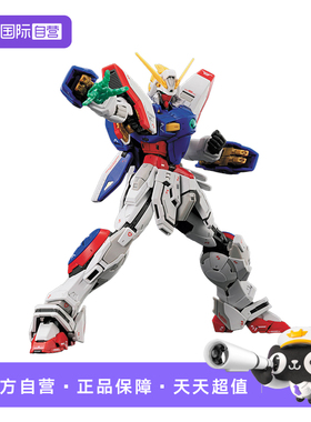 【自营】万代 RG 1/144 闪光高达 机动武斗传 G高达 多蒙卡修